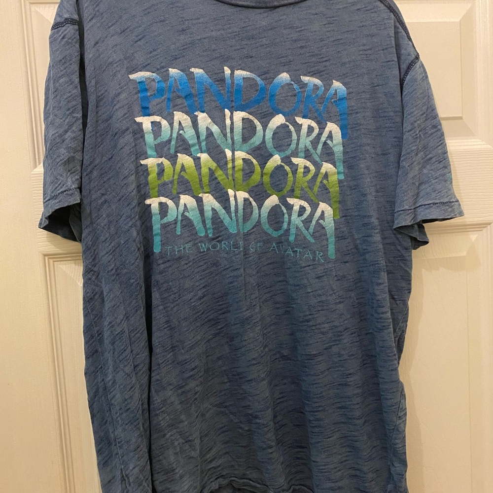 Hanes Blue Short Sleeve Tee